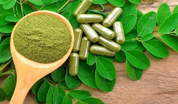 Merakyatkan R&D, misi FRIM lahir usahawan luar bandar melalui produk herba